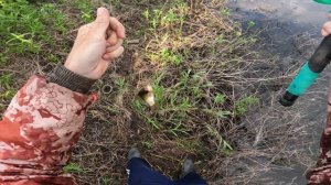 РЫБАЛКА НА ПОПЛАВОЧНУЮ УДОЧКУ