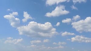 Охотник вытащил умирающего волка из ледяной полыньи. После этого на хуторе стало происходить нечто