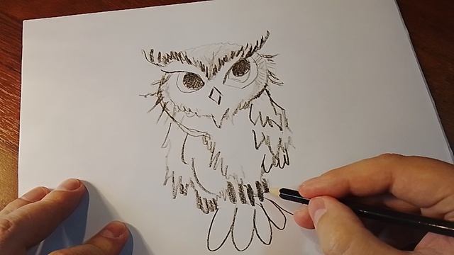 Сова. смотреть онлайн