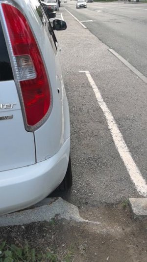 Skoda roomster 2008 год выпуска