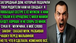 В ДОМЕ, ЧТО НАМ ПОДАРИЛИ ТВОИ РОДИТЕЛИ, БУДЕТ ЖИТЬ МОЯ СЕСТРА С МУЖЕМ, И НЕ СПОРЬ! — ЗАЯВИЛ МУЖ...
