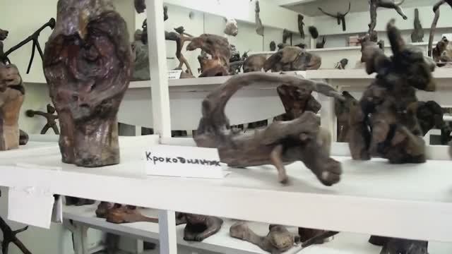 Прогулка Джубга Музей коряг Поехали на юг Серия 11