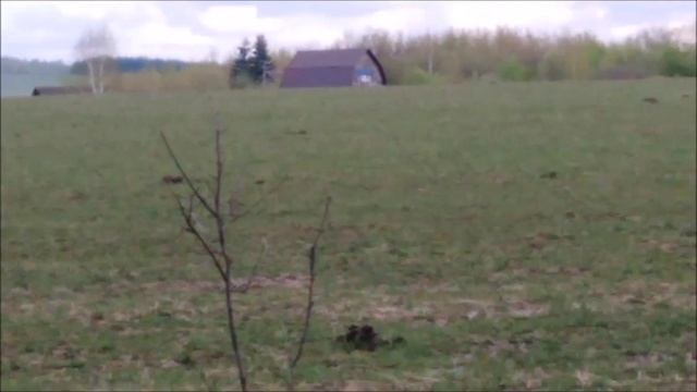 ✔СТРОЧКИ И СМОРЧКИ🍄✔
