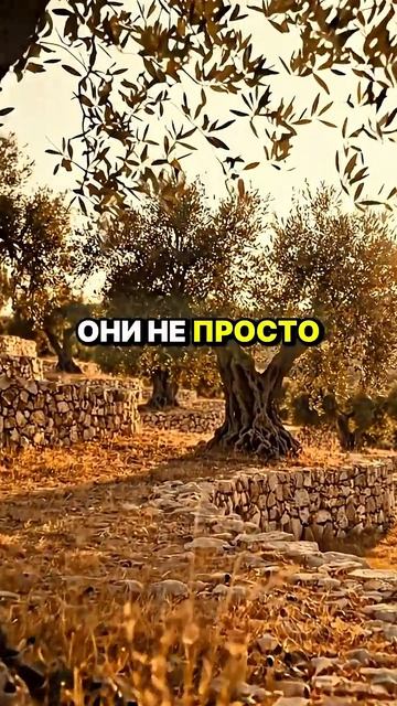 4 ТРАТЫ, КОТОРЫЕ ДЕРЖАТ БЕДНЫМ | Стоическая мотивация