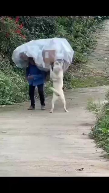 Помощница.