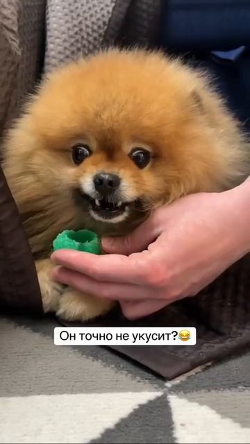 Всё равно страшно