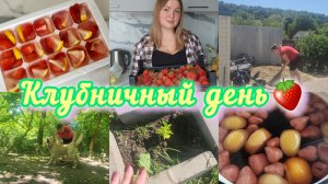 РАСПАКОВКА🛍ЗАГОТОВКИ КЛУБНИКИ 🍓