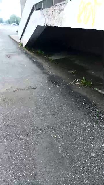 стрим прогулка по городу смотреть онлайн