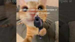 Да будет свет сказал электрик и перерезал провода:)