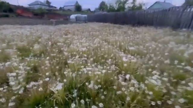 15327939616557 смотреть онлайн