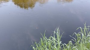 5:00 утра рыбалка. г Жуковка.