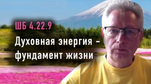04.06.2026 Духовная энергия это фундамент жизни - Е.М. Враджендра Кумар прабху (Тушкин Василий Р.)