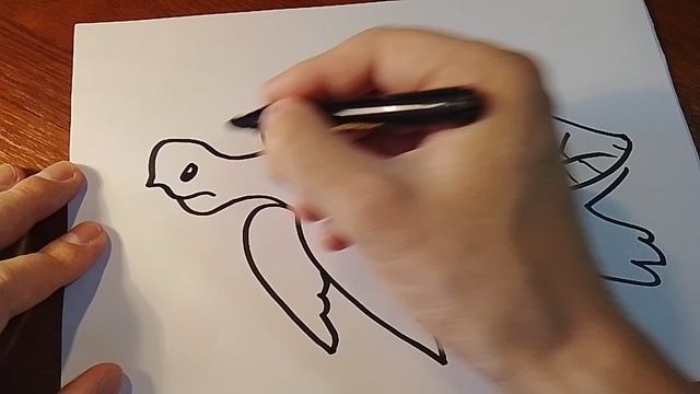 Черепаха. смотреть онлайн