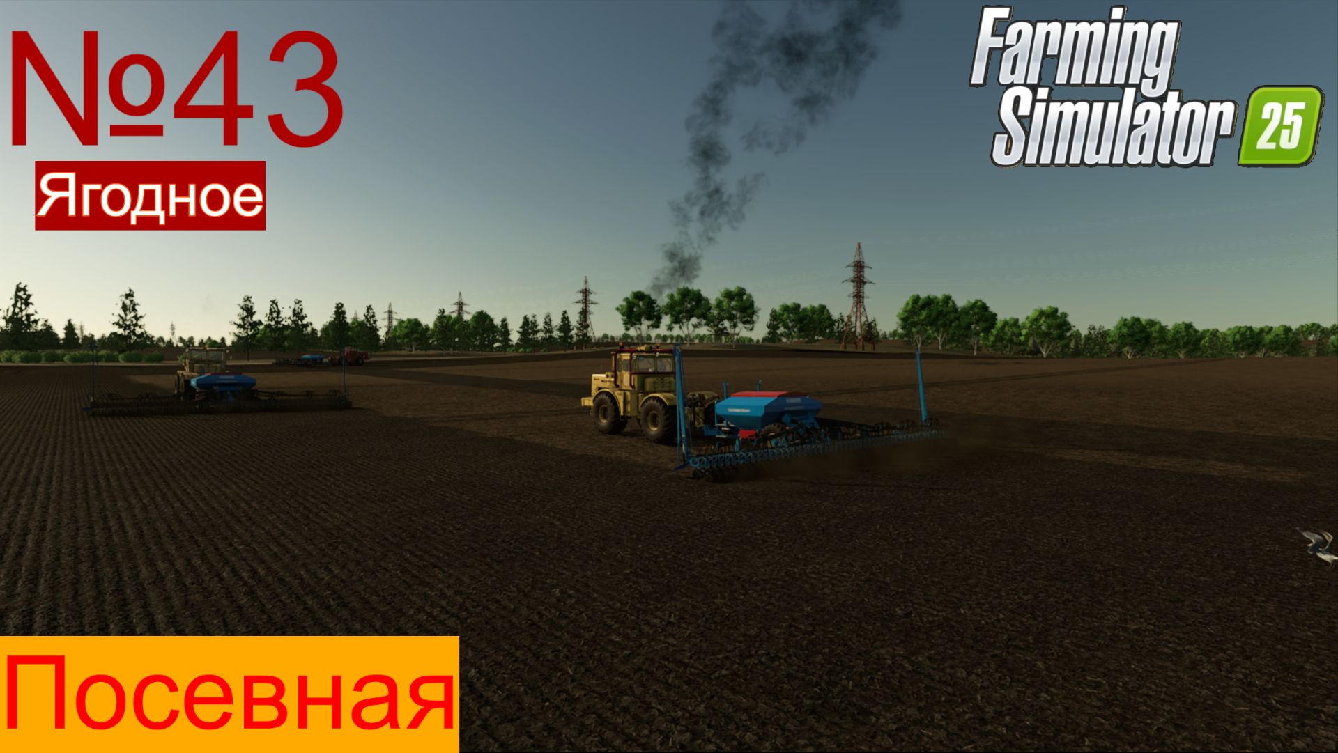 FS25 Ягодное ч43 К 700А К701 на севе овса.