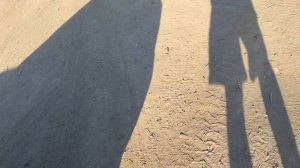 IMG_5353