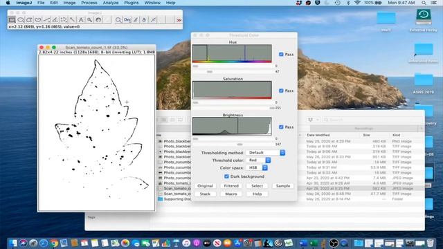 ImageJ Tutorials демонстрация использования Image J 1.1- 1.5 смотреть онлайн