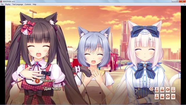 Удивительная посылка [NekoPara vol.1 #2]