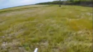 Уничтожение пехоты противника операторами БпЛА из 14 гв бригады СпН ГрВ«Восток«на Запорожском направ