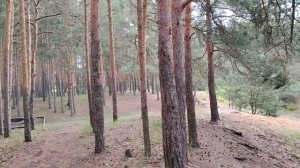 Отношения с руководством в работе по найму в организации