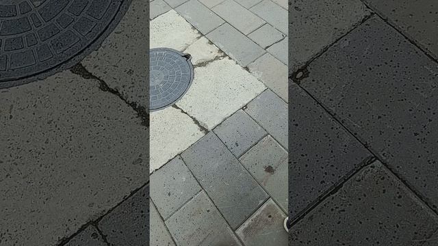 shortest video on rutube смотреть онлайн