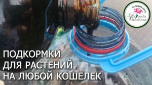 ПОДКОРМКИ ДЛЯ РАСТЕНИЙ НА ЛЮБОЙ КОШЕЛЕК