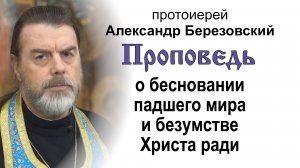 О бесновании падшего мира и безумстве Христа ради (2026.06.05). Прот. Александр Березовский