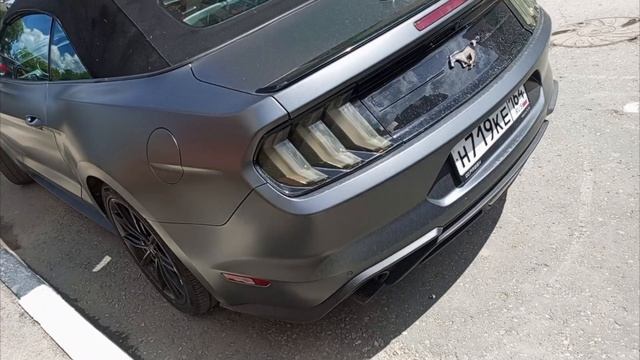 Нашёл форт мустанг 🐎