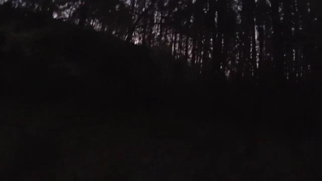 07 - Нелегально в Чернобыльскую Зону Отчуждения! Живем в Припяти! Октябрь. 2019