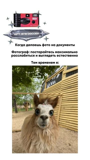 Плёночный фотоаппарат на 36 кадров (Артикул WB: #WW360391)💕