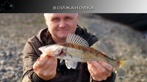 Хищники дачного водоема
