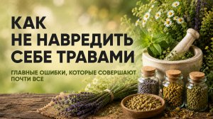 Почему врачи не знают, что ромашка — мощный эстроген? Травники о том, что скрывает фитотерапия