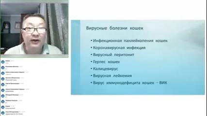 Трансфер Фактор для кошек
