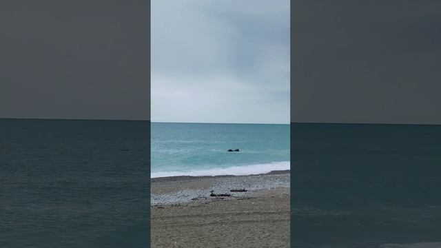 Гагра, май смотреть онлайн