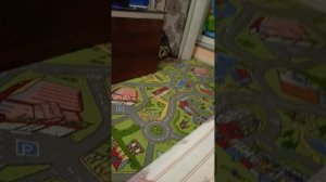 живой террариум-часть 4.