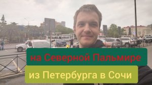 Еду на фирменном поезде Северная Пальмира из Санкт-Петербурга в Сочи.