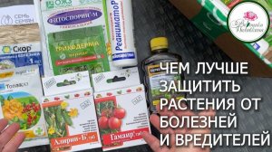 ЛУЧШИЕ СРЕДСТВА ЗАЩИТЫ ДЛЯ САДА