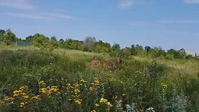 1000028401.mp4 смотреть онлайн
