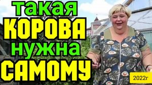Ольга Уралочка live _Такая корова нужна самому_Обзор Влогов _Уралочка и Сафар _