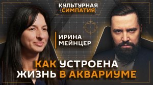 Тайная жизнь морских животных в центре Москвы |Дмитрий Егорченков | Ирина Мейнцер