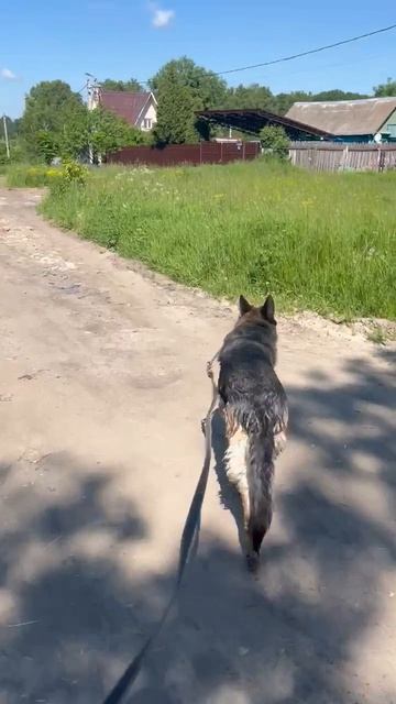 Палма купается смотреть онлайн