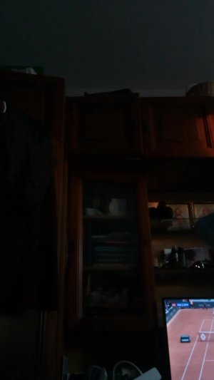 MOG трансляция всё реальная трансляция только сегодня не пропускайте