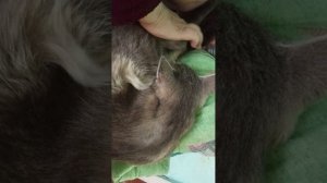 Большая дружная семья!