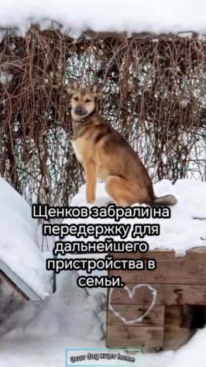Доброта спасёт Мир.