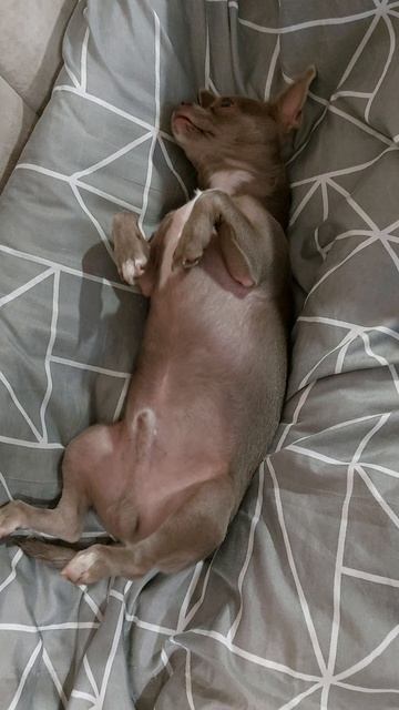 Марик)