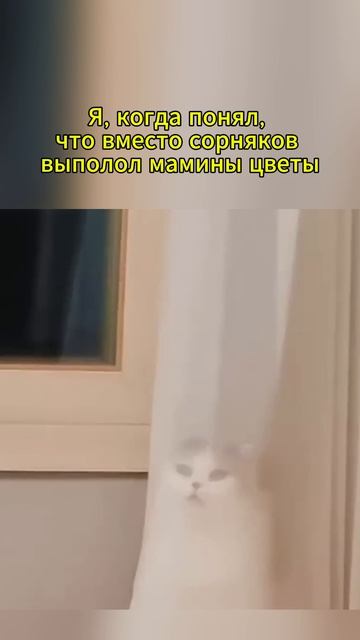 #юмор #мем #дача #огород #жизнь
