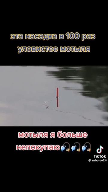 06-06-2026 смотреть онлайн