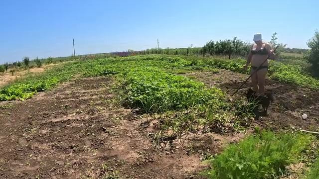 Наталья Губарева. РАБОТА КИПИТ...⧸ ЖИЗНЬ В ДЕРЕВНЕ 😍 смотреть онлайн