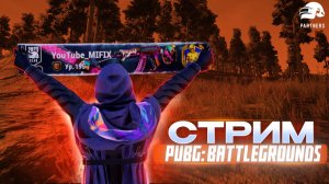 🔥СТРИМ PUBG: BATTLEGROUNDS💀 VK LIVE в описании