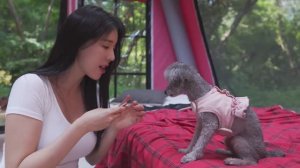 $7,777 CAMPING WITH THE LUXURY AIR TENTㅣFOREST ASMR
