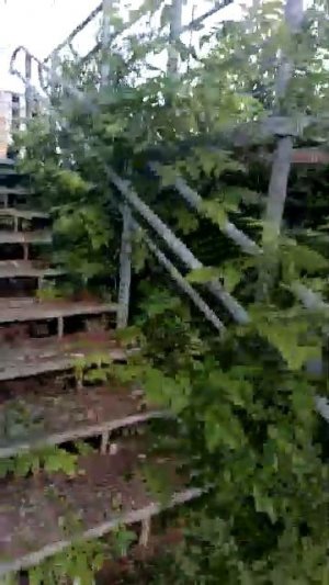 привет